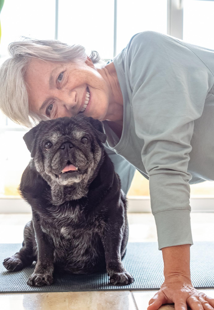 טיפול בחיות מחמד מבוגרות